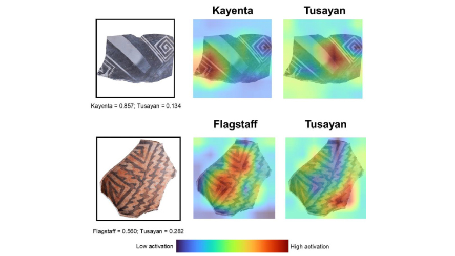 Photo source: Anichini et al. 2019 